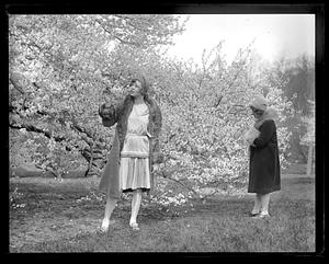 Two unidentified women in front of a blooming cherry tree
