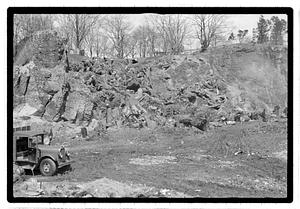 Tree stumps in a pile