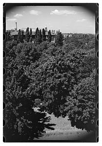 Black Forest and views from roof - Gertrude Sands