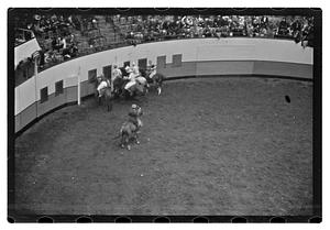 Gen. Needham polo