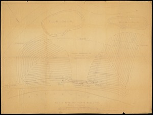 Plan of proposed shrub collection