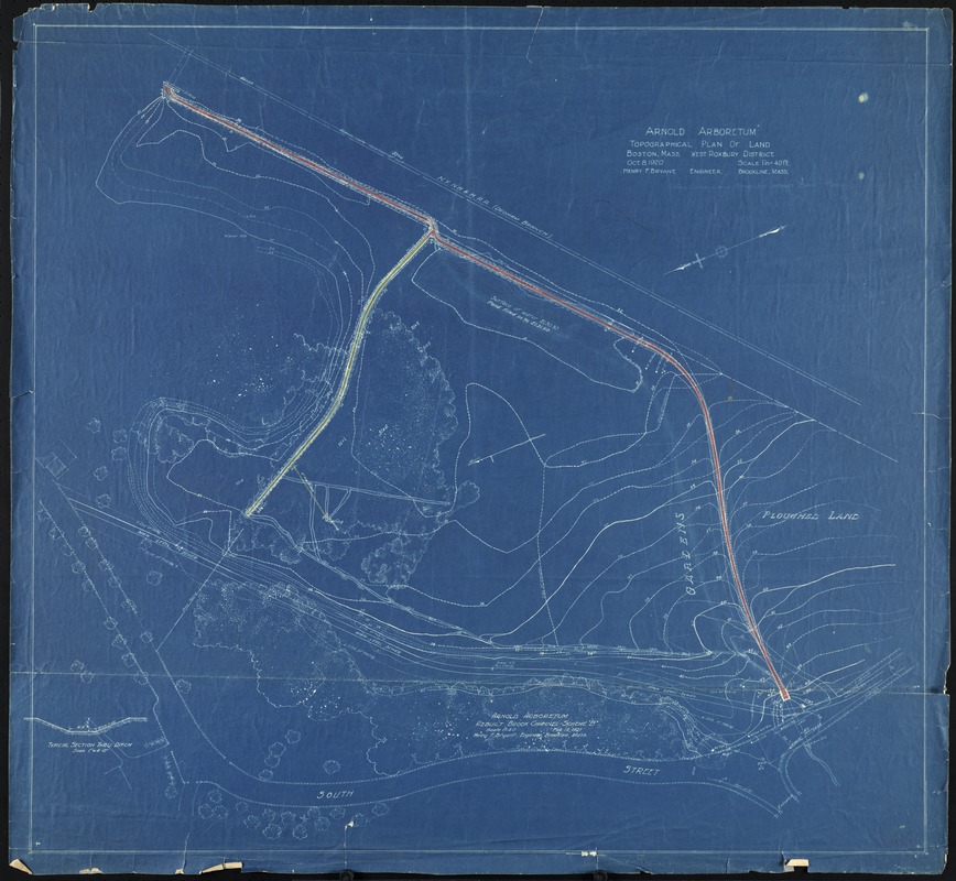 Arnold Arboretum topographical plan of land