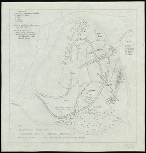 Suggested plan for Peter's Hill