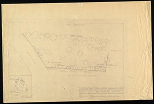 Proposed plant screen, Walter St. cemetery