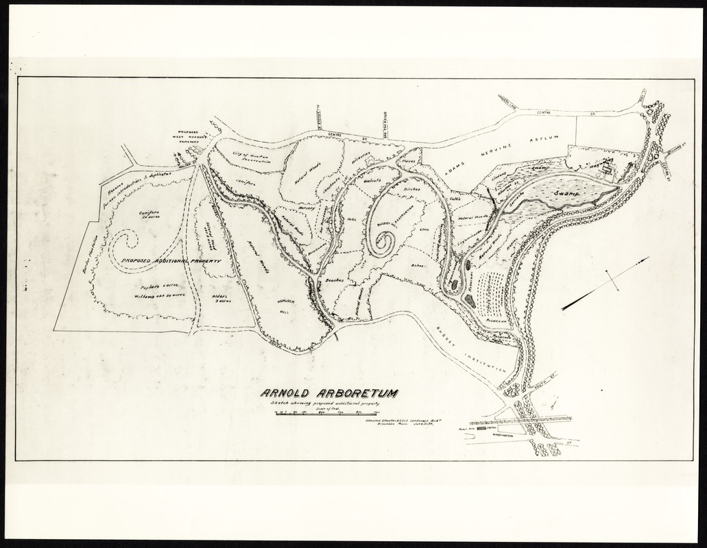 Folder of Arnold Arboretum maps from 1900-1936