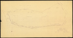 Plan of land in Boston, Mass. [Bussey Institution Property]