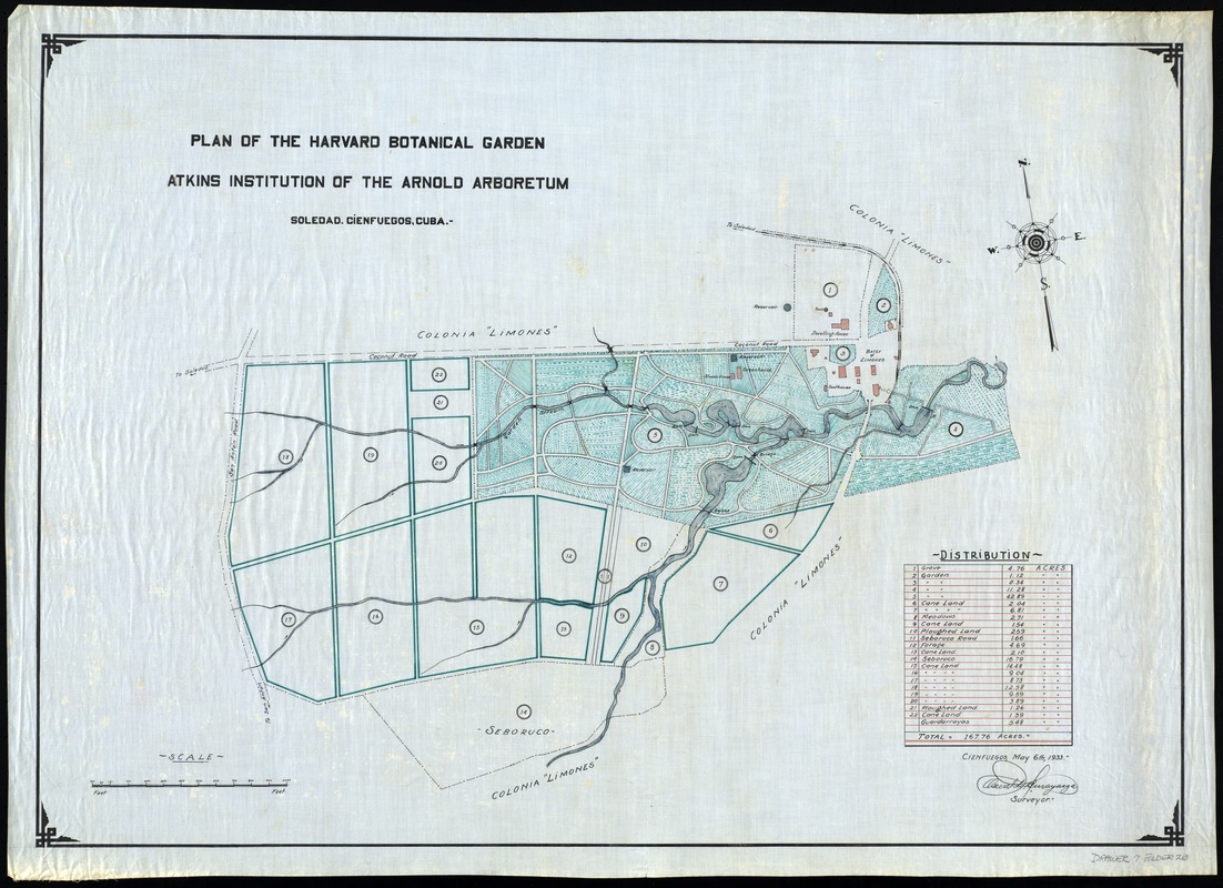 Plan of the Harvard Botanical garden-Atkins Institution of the Arnold Arboretum: Soledad, Cienfuegos, Cuba