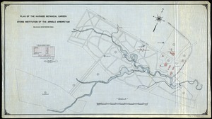 Plan of the Harvard Botanical garden-Atkins Institution of the Arnold Arboretum: Soledad, Cienfuegos, Cuba