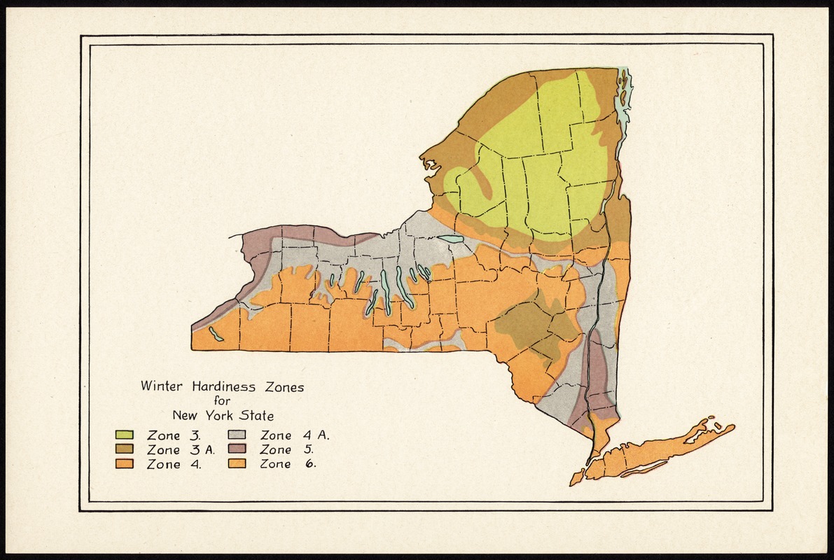 Winter hardiness zones for New York State