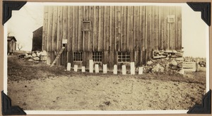 The cats' grave-yard in front of the Taylor barn
