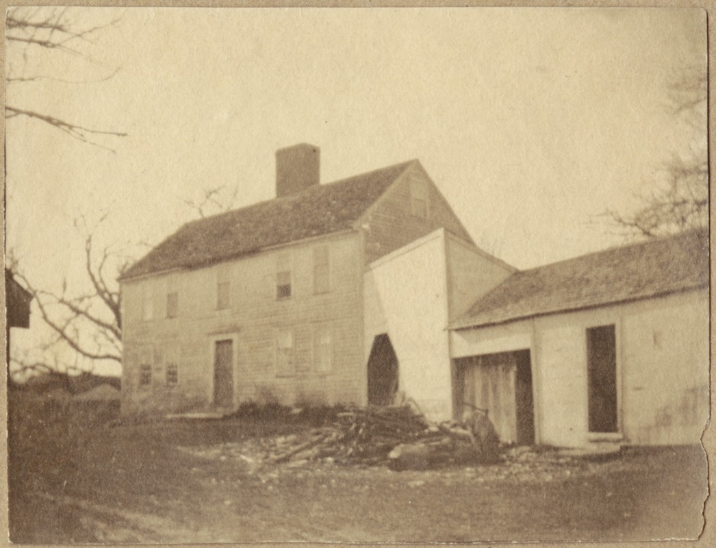 The Lilly Green house with the butternut tree which has 100 ft. spread