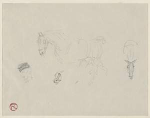 Horse studies, head; on verso, studies of horse in motion, hoof, and 2 heads.