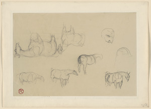 Six sketches of a horse, two head studies