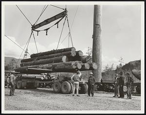 Lumber. Washington State.