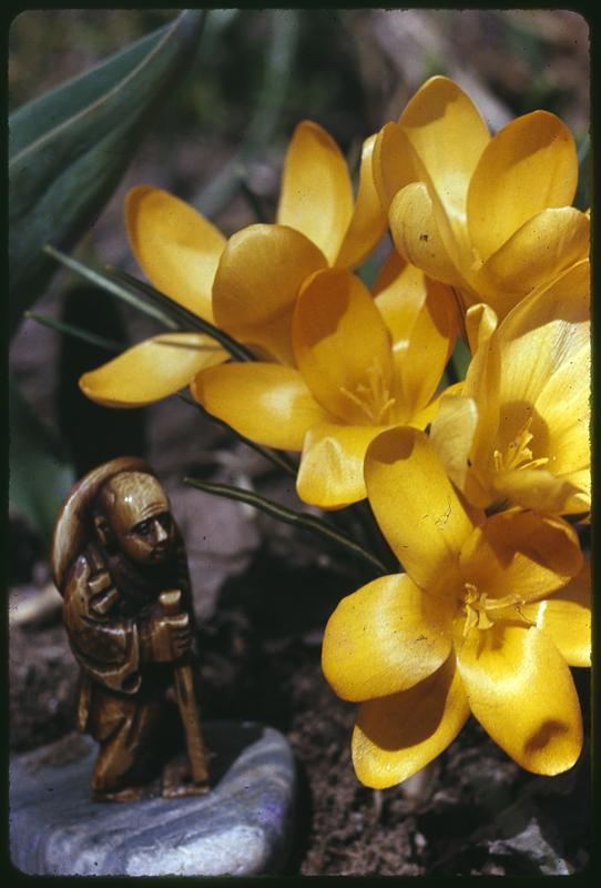 Netsuke + flowers