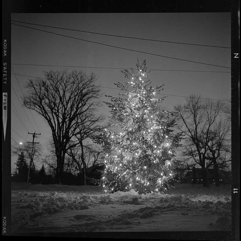 West Newbury Christmas tree Digital Commonwealth