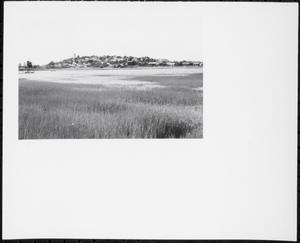 Belle Isle Marsh and Belle Isle Inlet