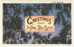 Greetings from the Pine Tree State
