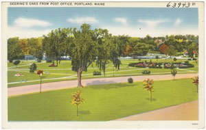 Deering's Oaks from Post Office, Portland, Maine