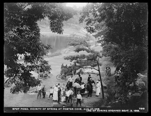 Distribution Department, Low Service Spot Pond Reservoir, vicinity of spring at Porter Cove; use of spring stopped, Stoneham, Mass., Aug. 27, 1916