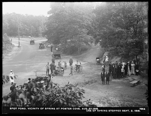 Distribution Department, Low Service Spot Pond Reservoir, vicinity of spring at Porter Cove; use of spring stopped, Stoneham, Mass., Aug. 27, 1916