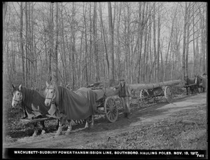 Wachusett Department, Wachusett-Sudbury power transmission line, hauling poles, Southborough, Mass., Nov. 13, 1917