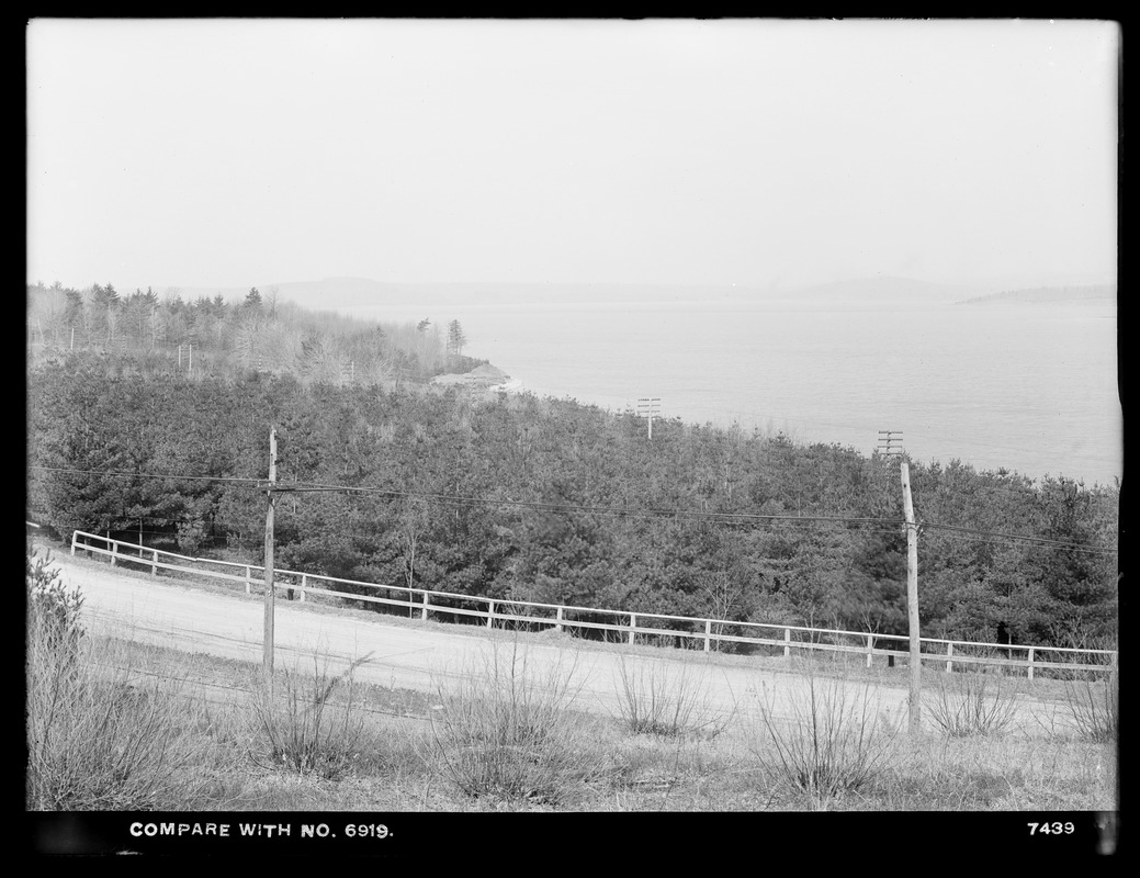 Wachusett Department, Wachusett Reservoir, 17-year-old white pines, 12-foot x 12-foot planting (compare with No. 6919), Boylston, Mass., Apr. 23, 1918