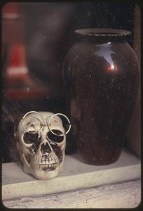 Vase and skull