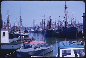 Fishing boats, Gloucester