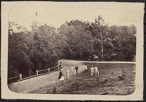 Unidentified group of men and women from a distance