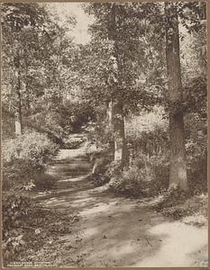 Boston, Massachusetts, Franklin Park, stone stairway