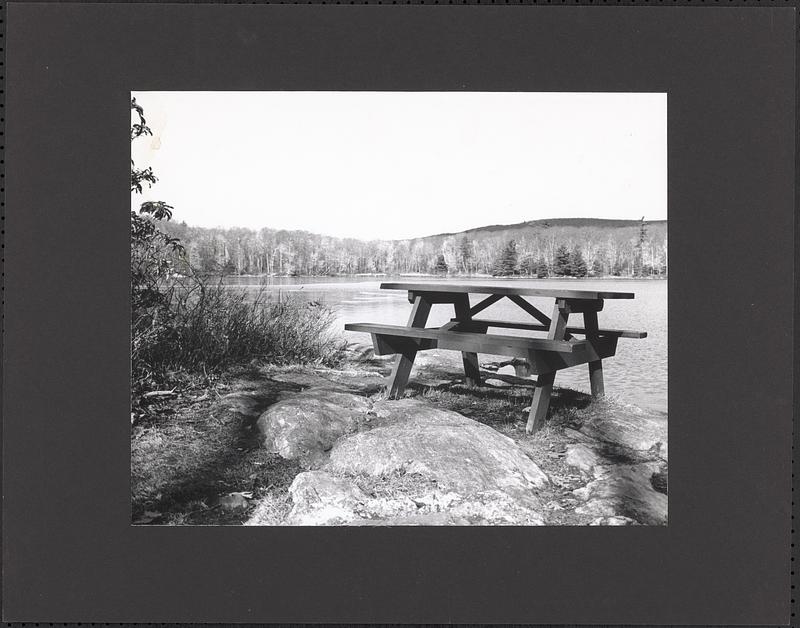 View of Laurel lake with picnic table