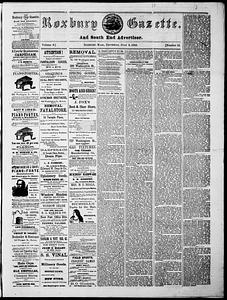 Roxbury Gazette and South End Advertiser, July 09, 1868