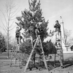 Common Park Christmas display, New Bedford