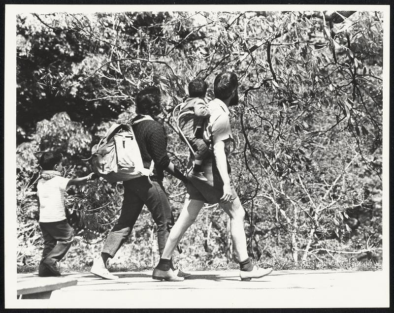 Hikers at Arnold Arboretum