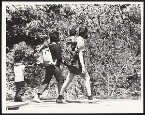 Hikers at Arnold Arboretum