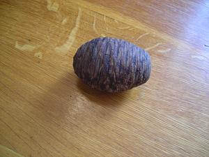 Egg shaped cone