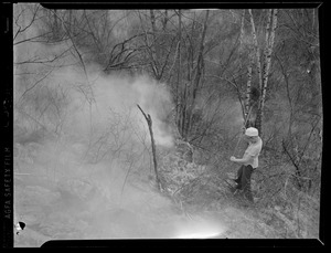 Man fighting wood fire with broom