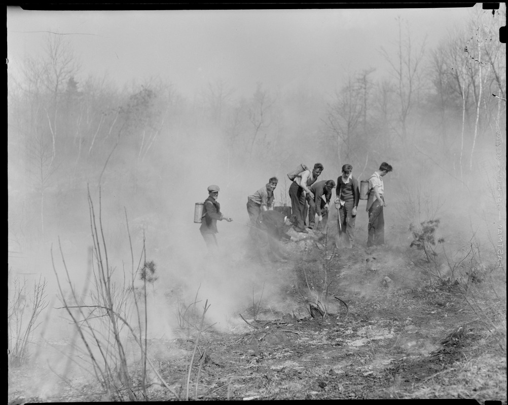 Forest fire fighting