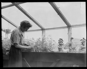 Unidentified woman with plants