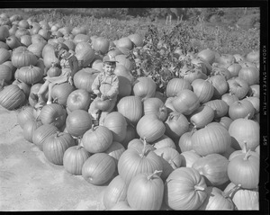 Unidentified children with pumpkin