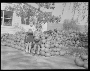 Unidentified children with pumpkin