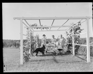 Unidentified group at picnic table
