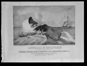 Whaling Co. ad