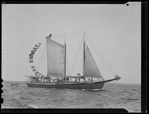 Sailing vessel "Alta C."