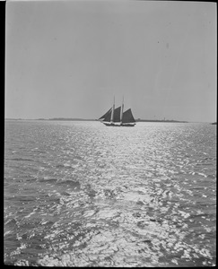 Sailing vessel in harbor