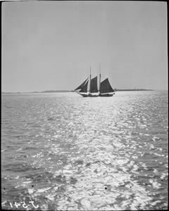 Sailing vessel in harbor