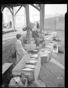 Boy selling fish in T-Wharf area