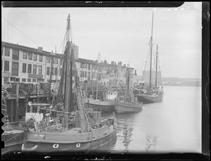 Harbor view - T-Wharf