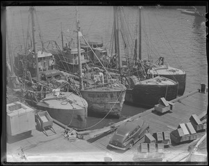 Fishing boats, probably Gloucester